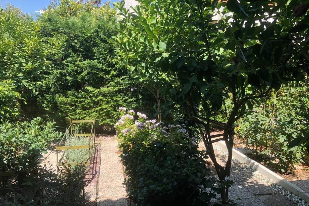 MesolóngionΑνακαινισμενη Μονοκατοικια 125 Τμ Στο Κεντρο Με Κηπο别墅 外观 照片