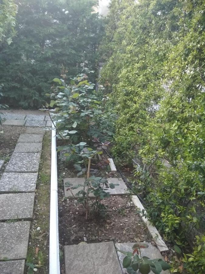MesolóngionΑνακαινισμενη Μονοκατοικια 125 Τμ Στο Κεντρο Με Κηπο别墅 外观 照片